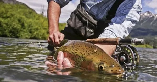 Santa Cruz lanza nueva temporada de pesca deportiva con sistema digital de licencias