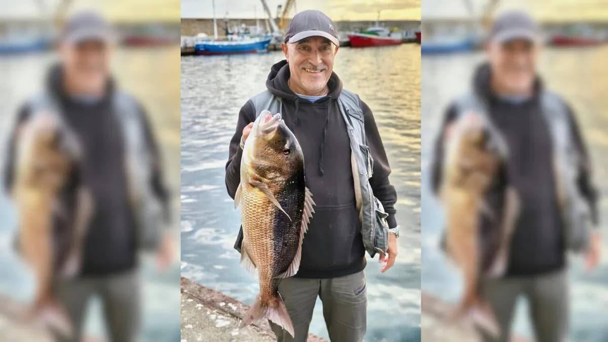 Capturan un dentón de 6 kilos en el muelle de Burela
