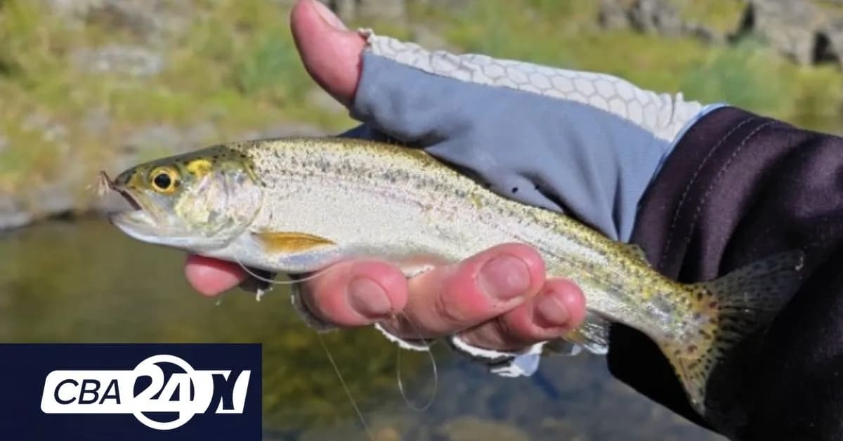 Córdoba habilita temporada de pesca deportiva de truchas y dorados