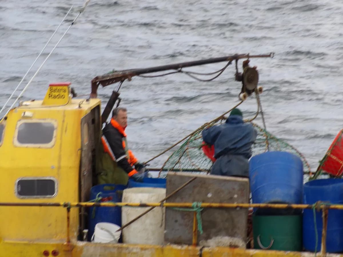 El auge de la pesca deportiva en Tierra del Fuego