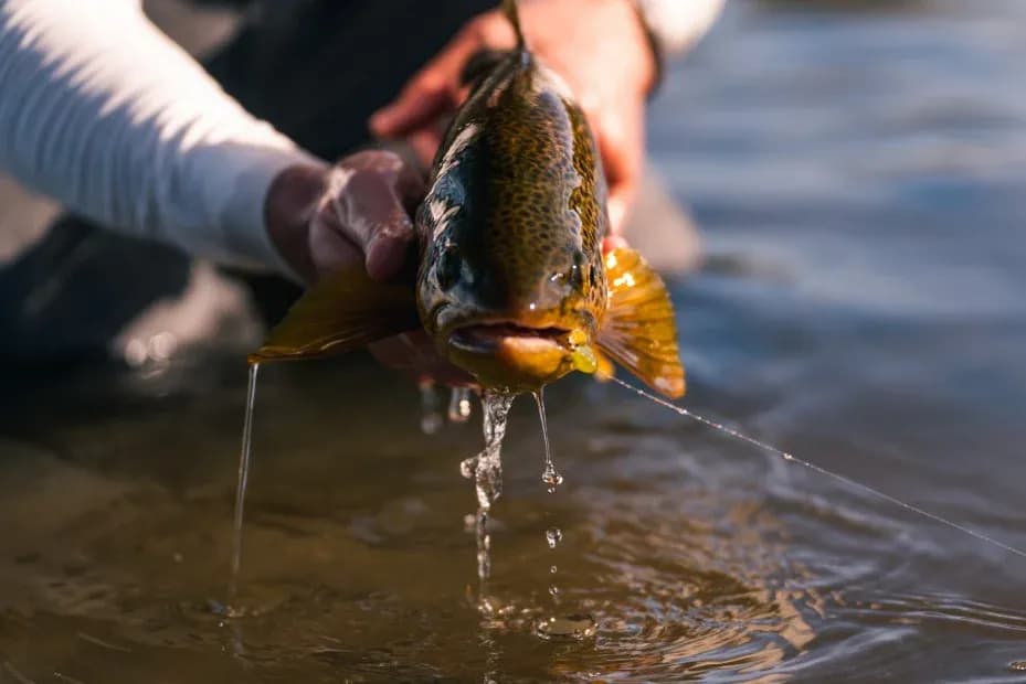 Inicio de la temporada de pesca deportiva en Córdoba