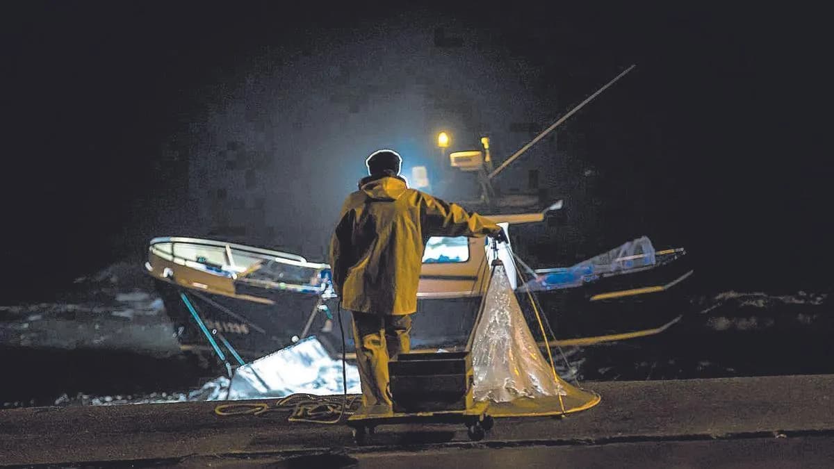 Asturias establece nueva temporada de pesca de angula a pesar de su declive