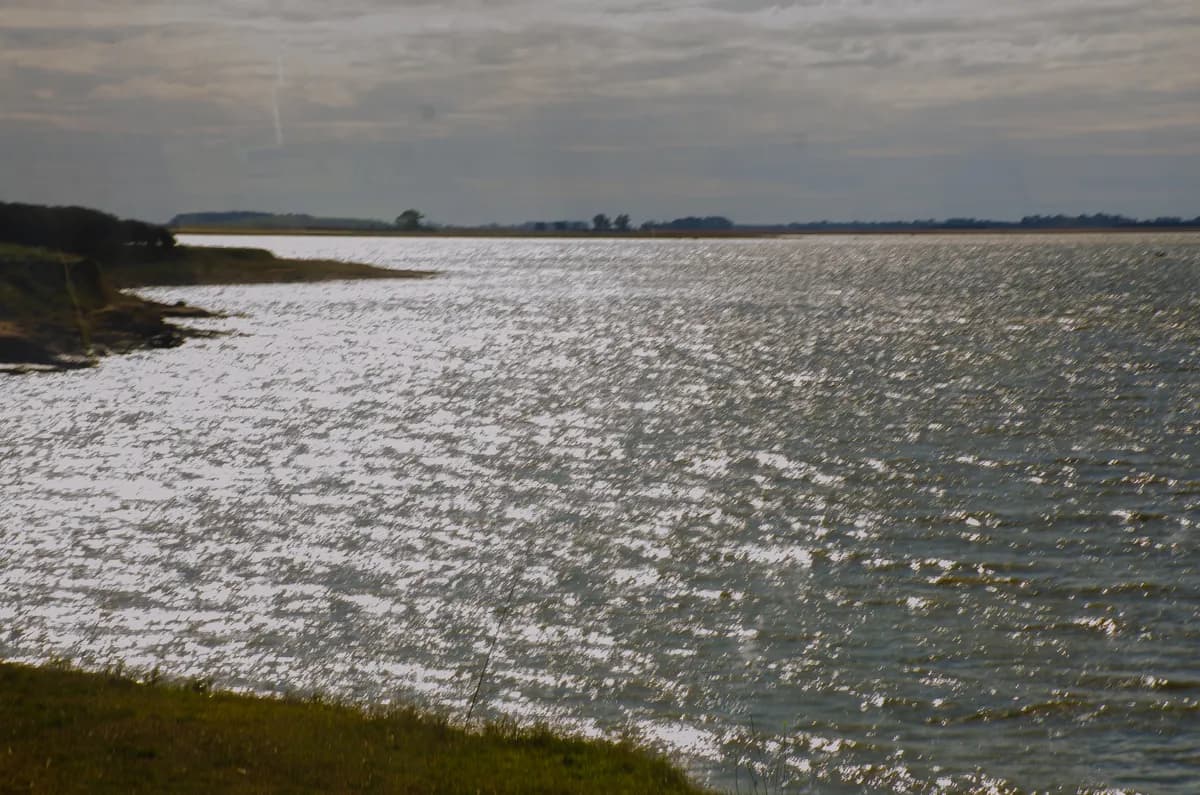Laguna Cochicó: Un Destino Ideal para la Pesca en Buenos Aires