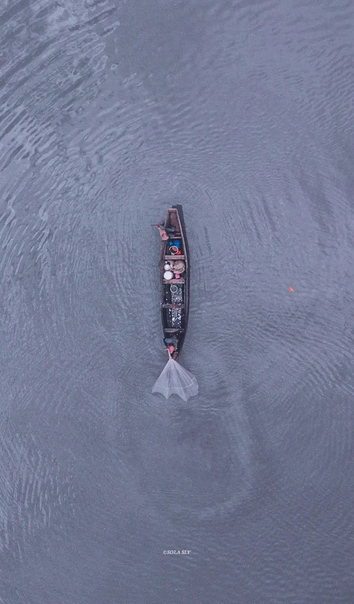 La sobrepesca y sus efectos en los ecosistemas marinos