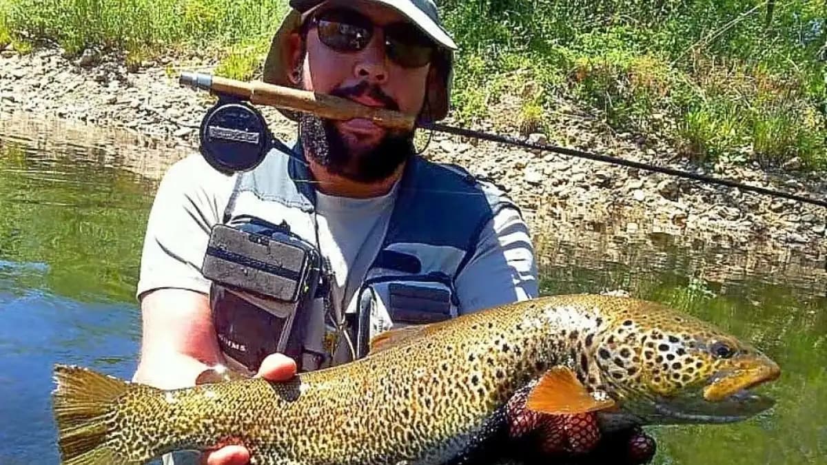 Expertos analizan el futuro de la pesca en Soria y la trucha en sus ríos