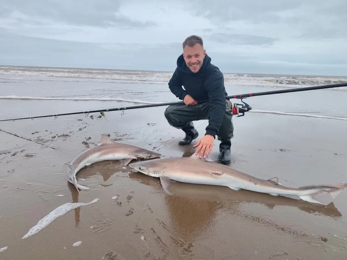 Inicia la temporada de pesca de cazón en Claromecó