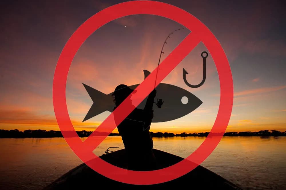 Veda total de pesca en el río Uruguay hasta 2027