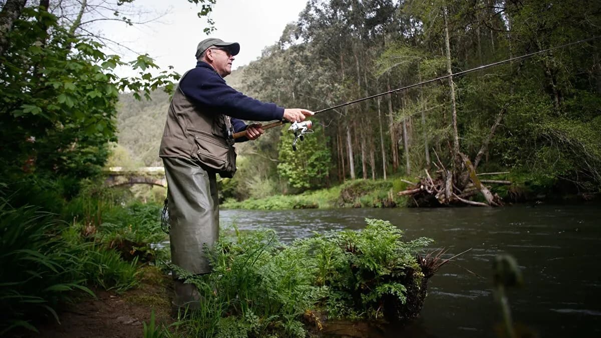 Asturias prohíbe la pesca del salmón y suspende subastas tradicionales