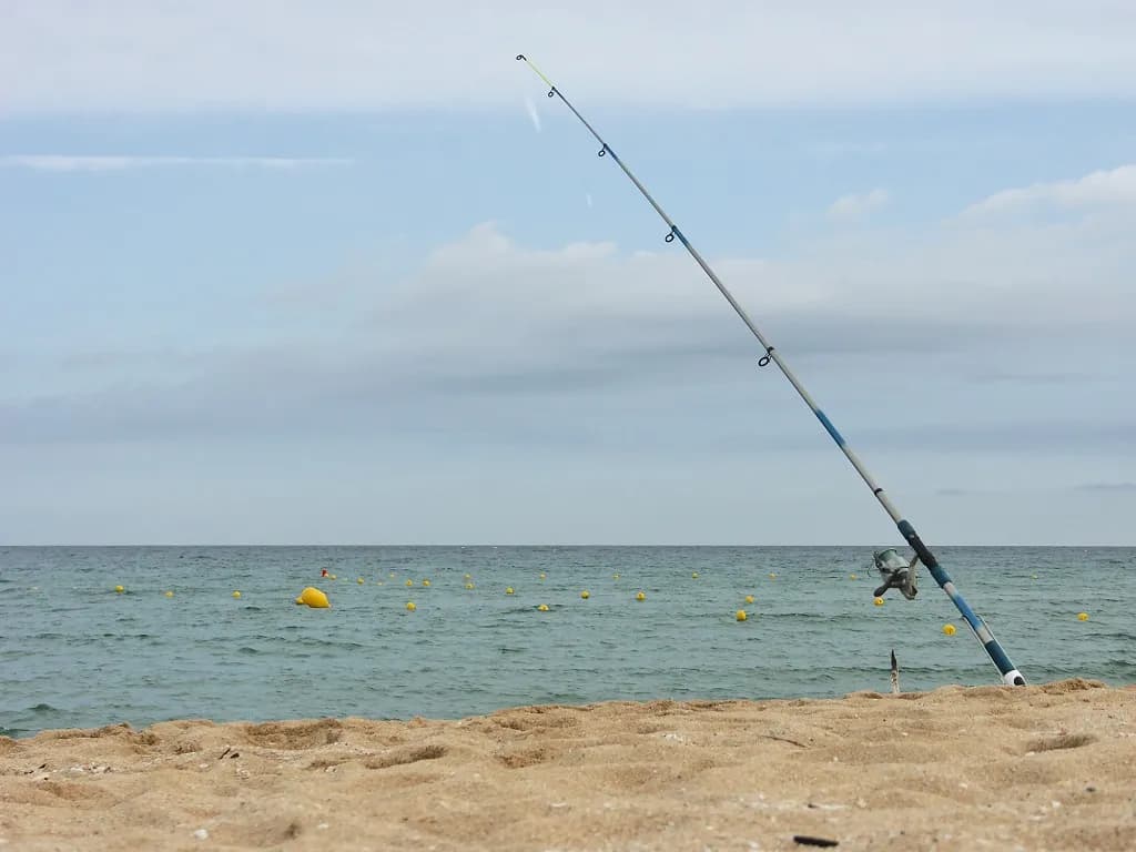 Guía sobre cañas de surfcasting: tipos y características