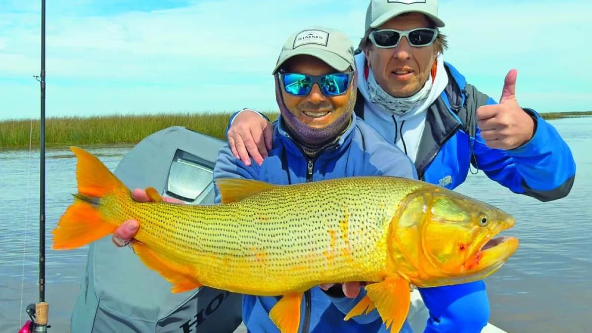 Explorando la pesca de dorados y tarariras en el Delta del Paraná