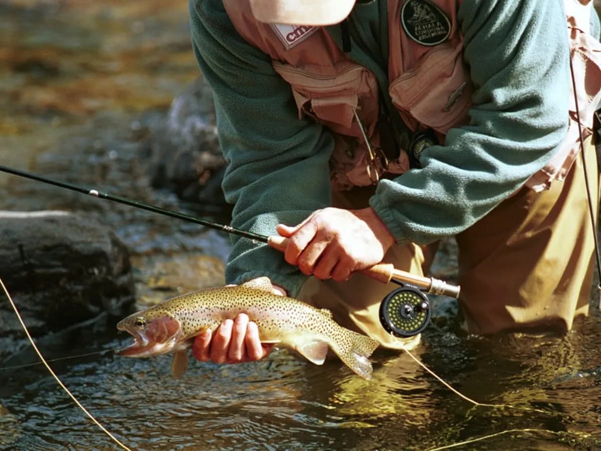 Inicio de la temporada de pesca en Córdoba: reglas y especies permitidas