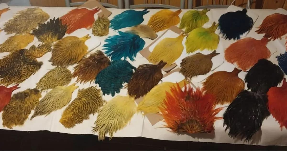 La historia detrás de Fly Andino: plumas para la pesca en la Patagonia