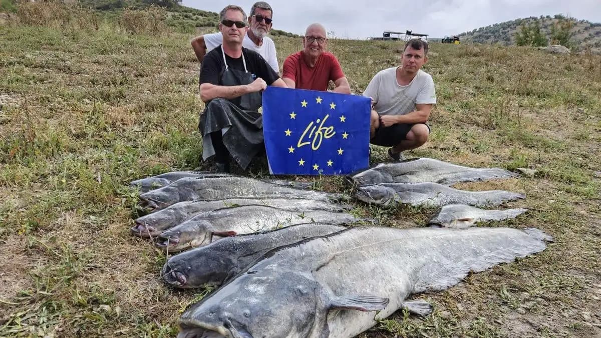 El siluro reduce un 76% la pesca en Iznájar