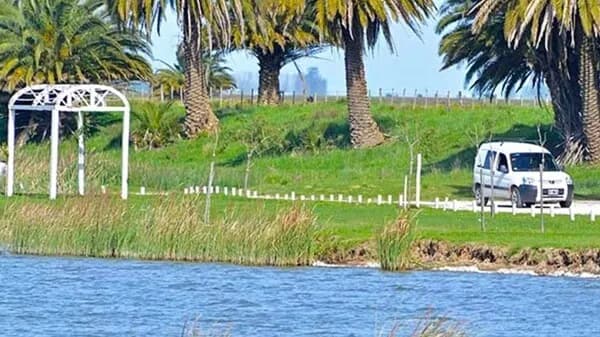 Siembra de 30.000 pejerreyes en la laguna La Rosita