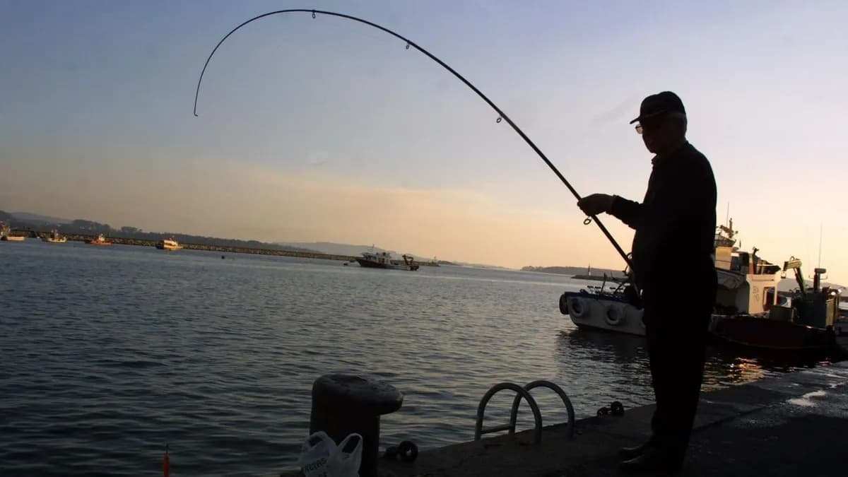 Normativa sobre la talla mínima de la lubina en la pesca recreativa